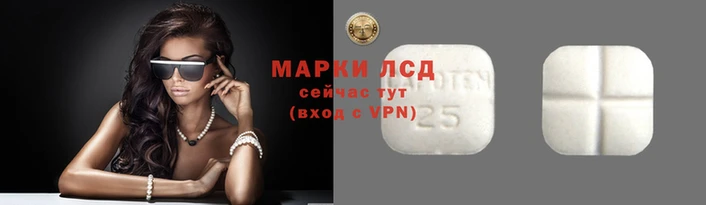 скорость Алзамай