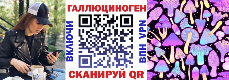 Псилоцибиновые грибы Cubensis  сколько стоит  Алексеевка 