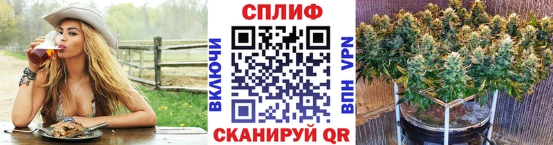 дарнет шоп  Алексеевка  Конопля ГИДРОПОН 
